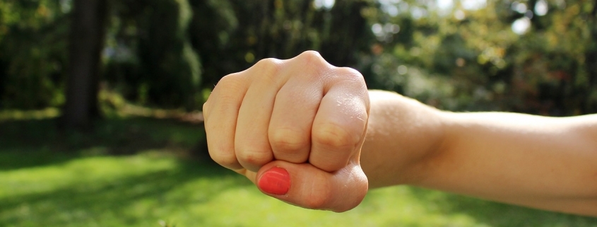 csapatepito trening sztori